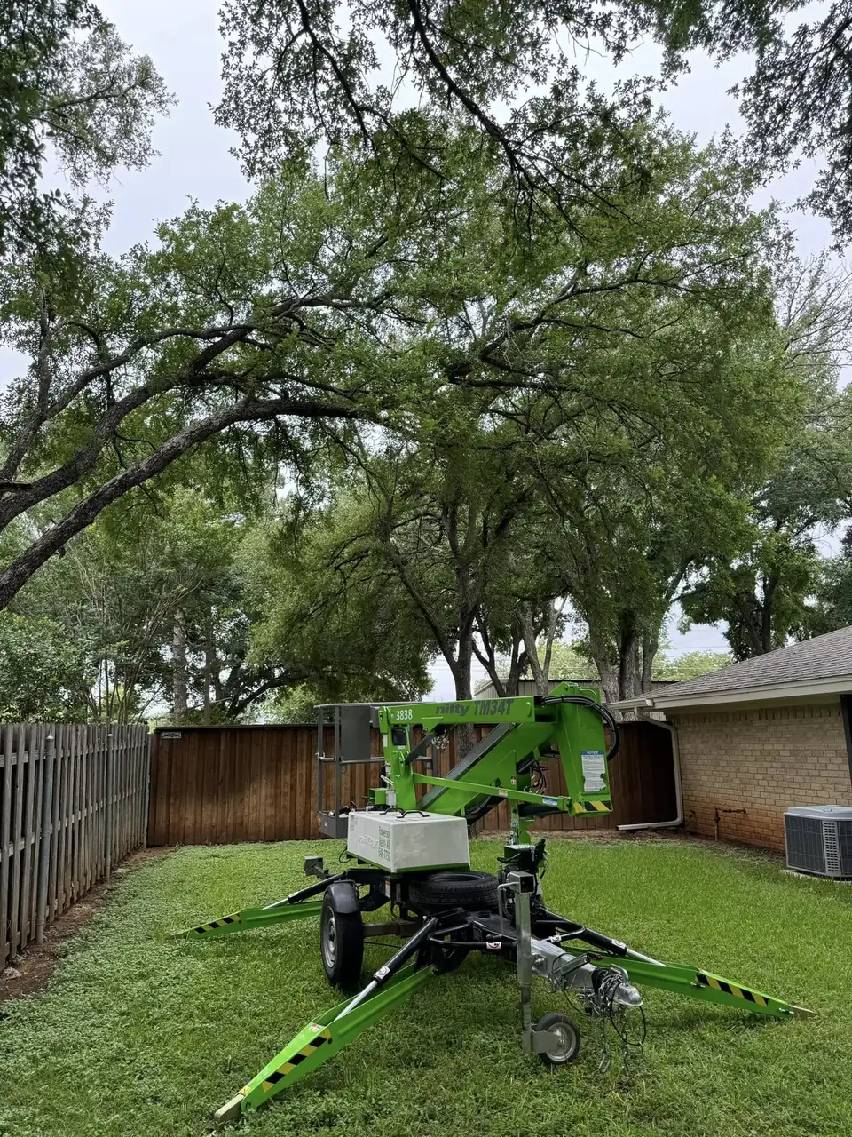 Second To None tree work job photo