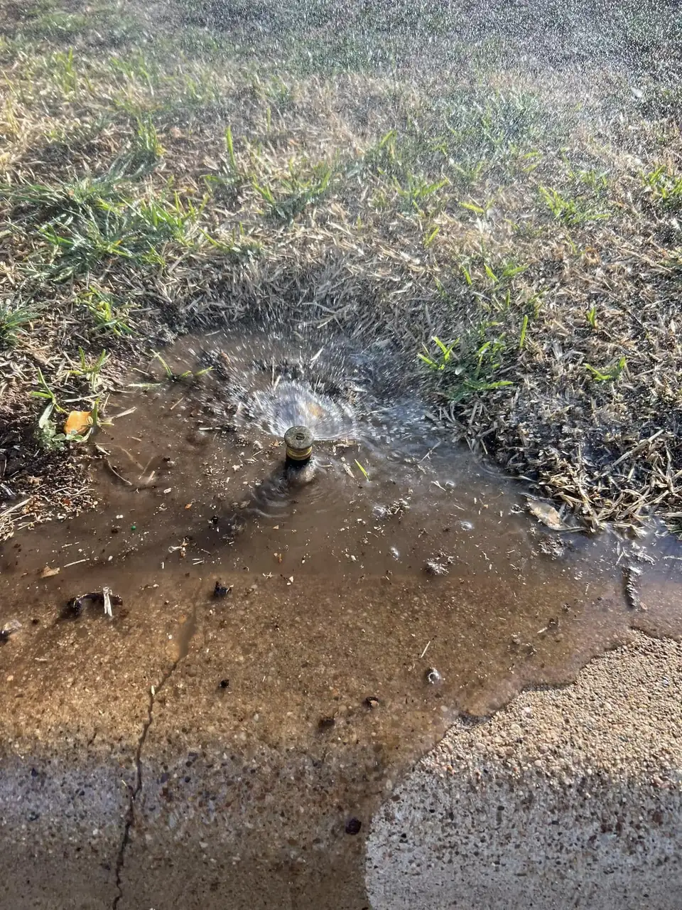 Second To None irrigation repair job photo